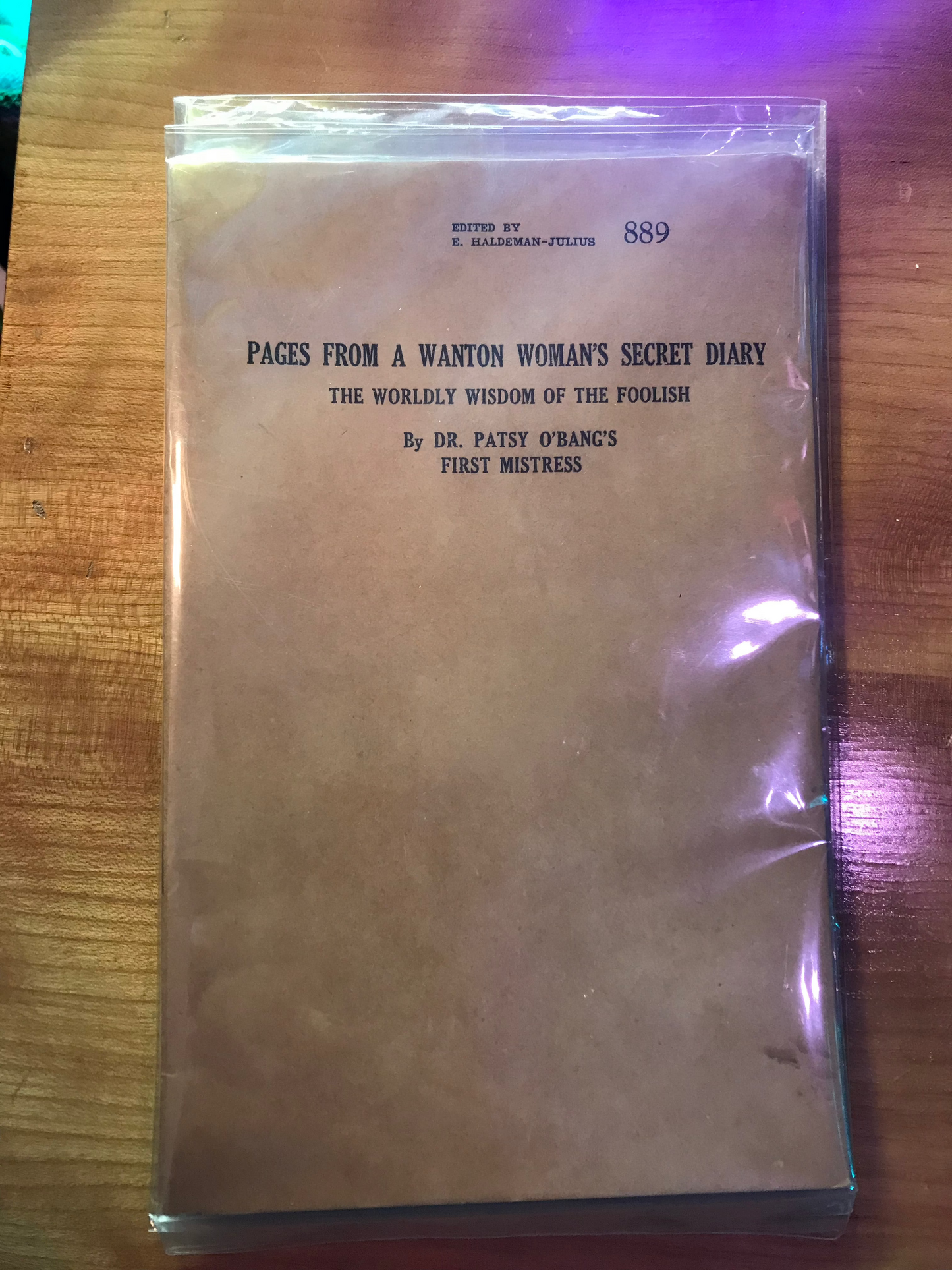 Pages From a Wanton Woman's Secret Diary