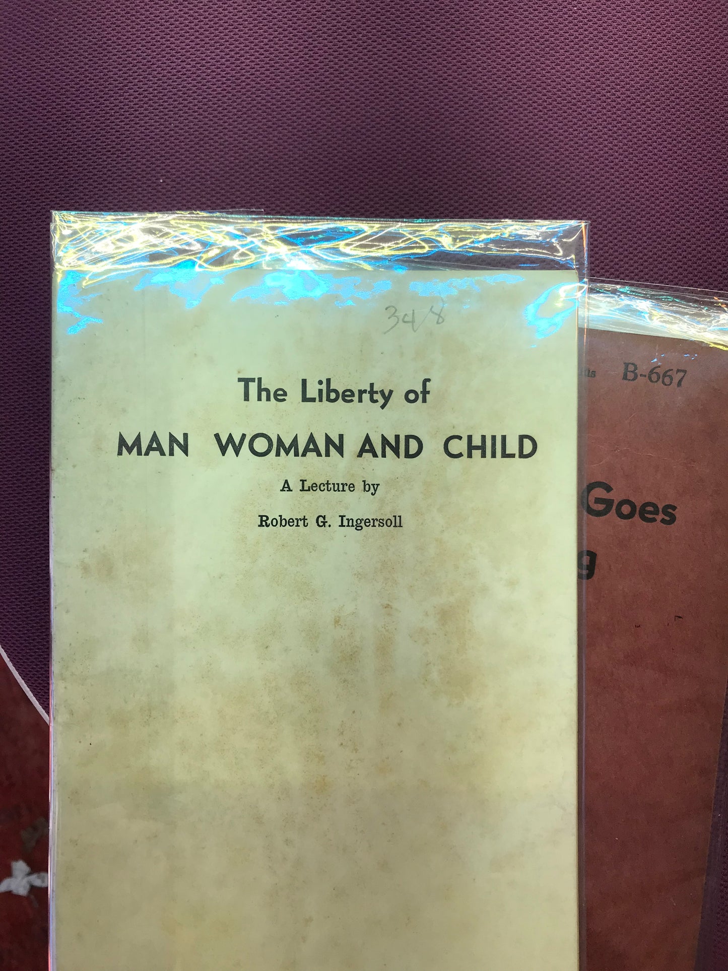 The Liberty of Man Women and Child