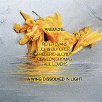 A Wing Dissolved in Light LP (No Business)