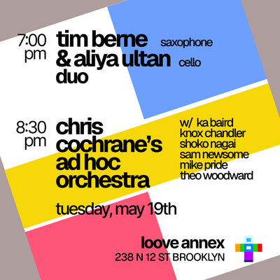 Chris COCHRANE- Ad Hoc Orchestra meets Tim BERNE / Aliya ULTAN duo-!