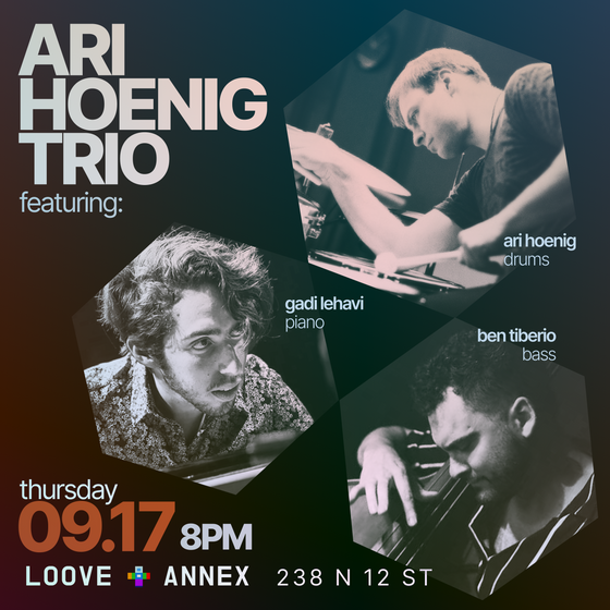 Ari Hoenig Trio