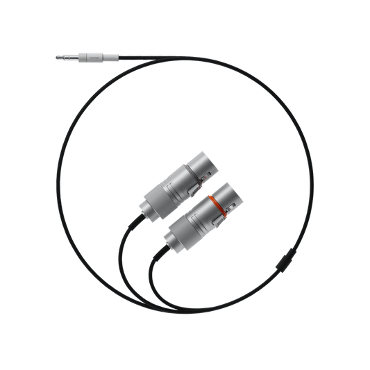 field audio cable 3.5mm to 2 x XLR (socket)